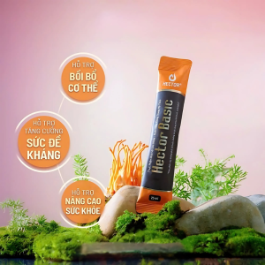 Hector Thảo Mộc Đông Trùng Hạ Thảo