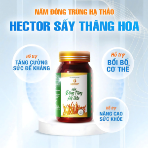 Nấm đông trùng hạ thảo hector sấy thăng hoa